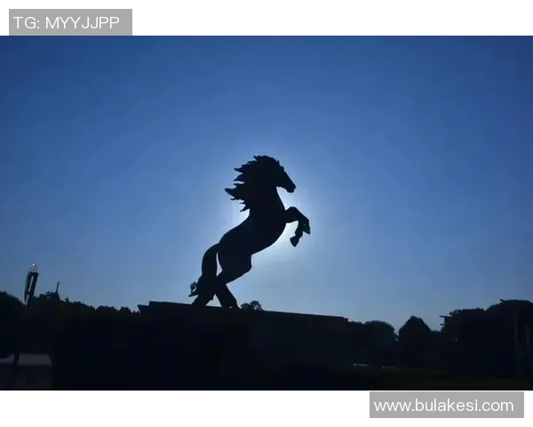 奎因自信发声已做好复出准备期待教练和训练师的决定