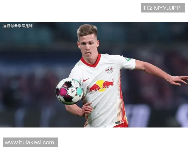 RB莱比锡即将以500万到700万欧元签下苏莱曼萨尼的转会消息 RB莱比锡即将以500万到700万欧元签下苏莱曼萨尼的转会消息